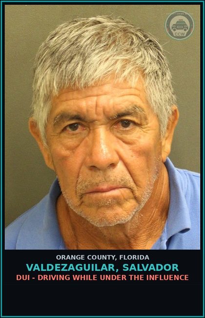CCW arrest card for VALDEZAGUILAR, SALVADOR in Orange County: MOVING TRAFFIC VIOL-OPERATE MOTOR VEHICLE W/O VALID LIC 1ST CONV