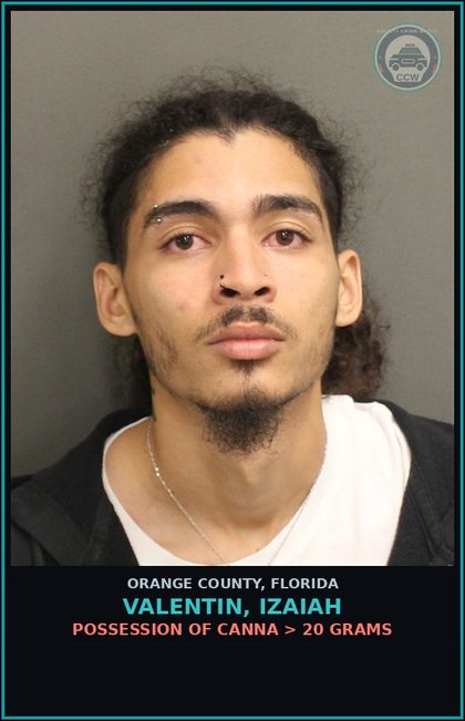 CCW arrest card for VALENTIN, IZAIAH in Orange County: POSSESSION OF Canna > 20 GRAMS