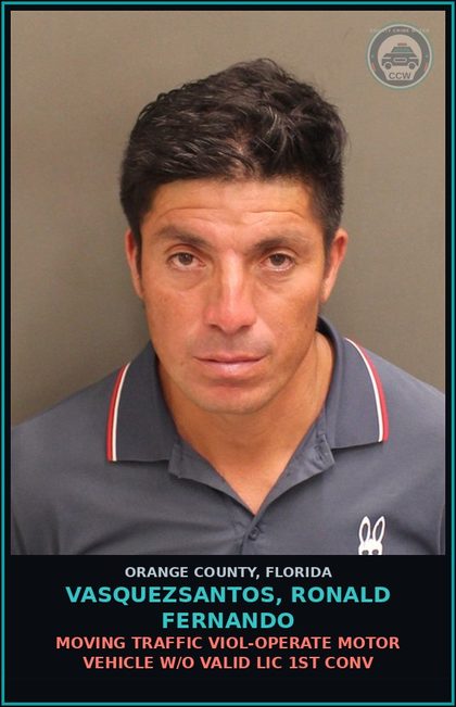 CCW arrest card for VASQUEZSANTOS, RONALD FERNANDO in Orange County: MOVING TRAFFIC VIOL-OPERATE MOTOR VEHICLE W/O VALID LIC 1ST CONV