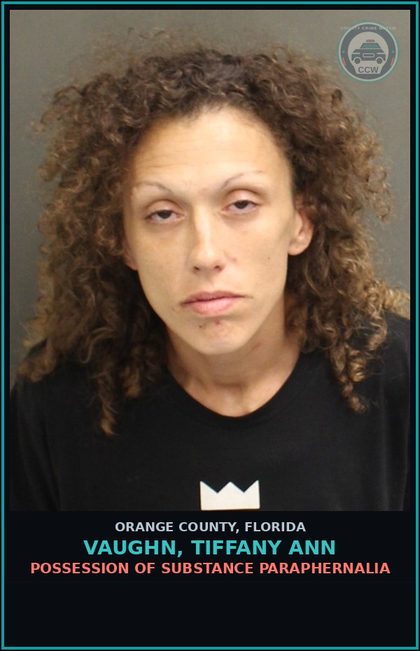 CCW arrest card for VAUGHN, TIFFANY ANN in Orange County: NEGLECT OF A chld