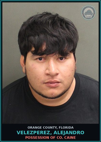 CCW arrest card for VELEZPEREZ, ALEJANDRO in Orange County: FALSELY PERSONATING OFFICER/COMMTTING FEL.
