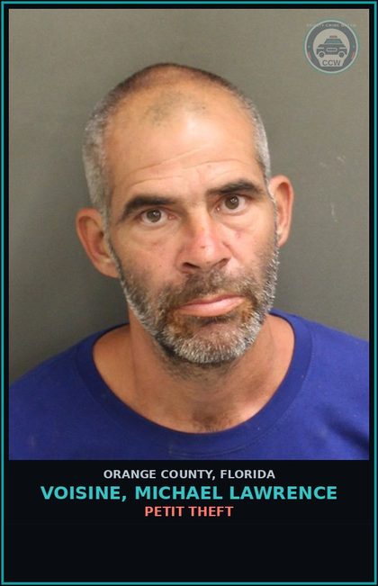 CCW arrest card for VOISINE, MICHAEL LAWRENCE in Orange County: PETIT THEFT
