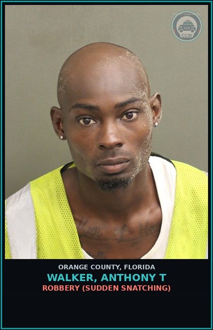 CCW arrest card for WALKER, ANTHONY T in Orange County: BATTERY (DOMESTIC VIOLENCE)