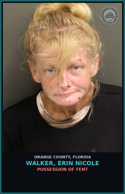 CCW arrest card for WALKER, ERIN NICOLE in Orange County: FAILURE OF DEFENDANT TO APPEAR