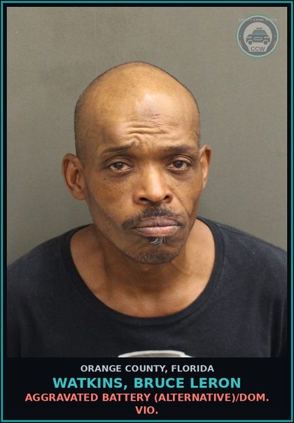 CCW arrest card for WATKINS, BRUCE LERON in Orange County: AGGRAVATED BATTERY (ALTERNATIVE)/DOM. VIO.