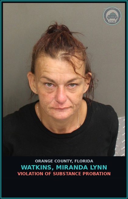 CCW arrest card for WATKINS, MIRANDA LYNN in Orange County: VIOLATION OF DRUG PROBATION