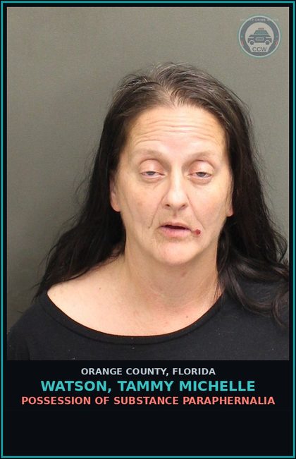 CCW arrest card for WATSON, TAMMY MICHELLE in Orange County: POSSESSION OF DRUG PARAPHERNALIA