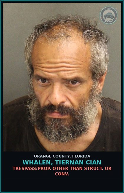CCW arrest card for WHALEN, TIERNAN CIAN in Orange County: TRESPASS/PROP. OTHER THAN STRUCT. OR CONV.