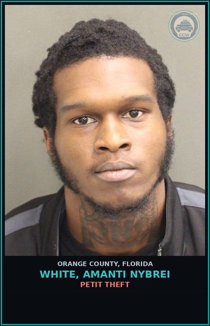 CCW arrest card for WHITE, AMANTI NYBREI in Orange County: PETIT THEFT