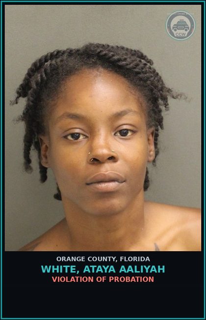 CCW arrest card for WHITE, ATAYA AALIYAH in Orange County: VIOLATION OF PROBATION