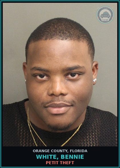CCW arrest card for WHITE, BENNIE in Orange County: PETIT THEFT