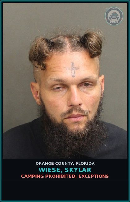 CCW arrest card for WIESE, SKYLAR in Orange County: CAMPING PROHIBITED; EXCEPTIONS