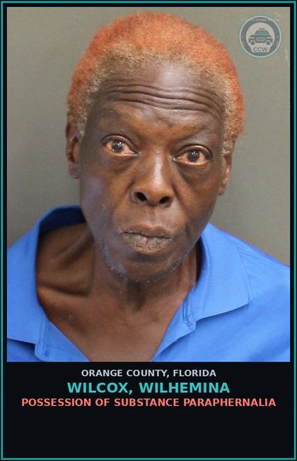 CCW arrest card for WILCOX, WILHEMINA in Orange County: SALE/DELIVERY OF COCAINE