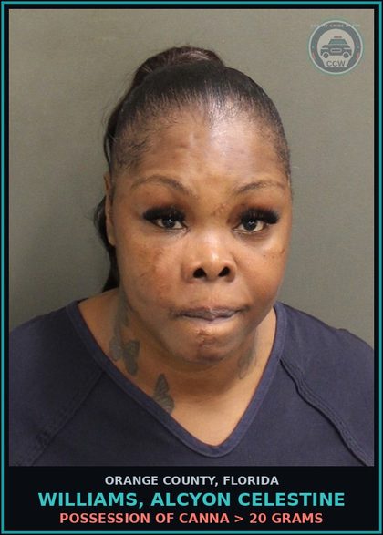 CCW arrest card for WILLIAMS, ALCYON CELESTINE in Orange County: POSSESSION OF Canna > 20 GRAMS