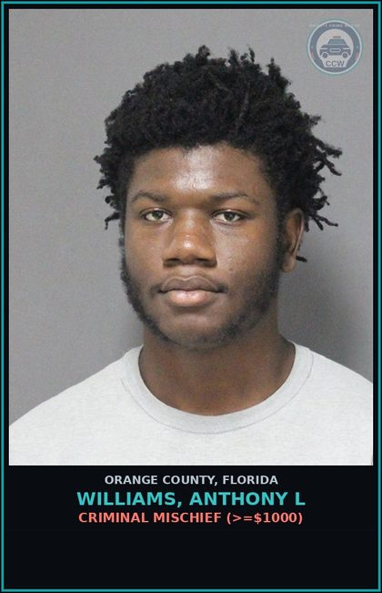 CCW arrest card for WILLIAMS, ANTHONY L in Orange County: CRIMINAL MISCHIEF (>=$1000)