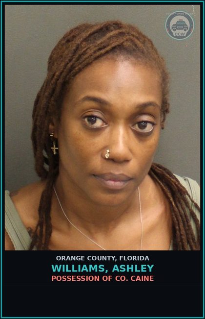CCW arrest card for WILLIAMS, ASHLEY in Orange County: POSSESSION OF COCAINE