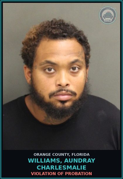 CCW arrest card for WILLIAMS, AUNDRAY CHARLESMALIE in Orange County: VIOLATION OF PROBATION