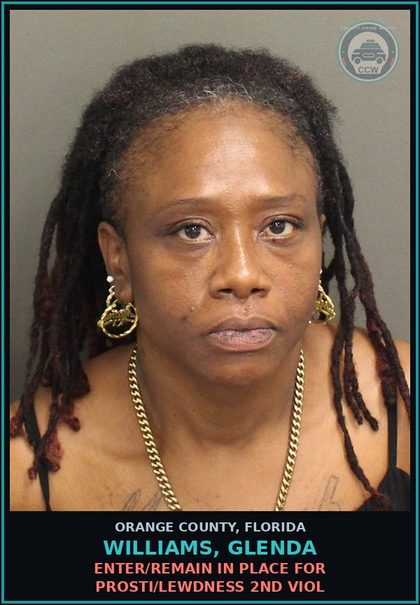 CCW arrest card for WILLIAMS, GLENDA in Orange County: ENTER/REMAIN IN PLACE FOR Prosti/LEWDNESS 2ND VIOL
