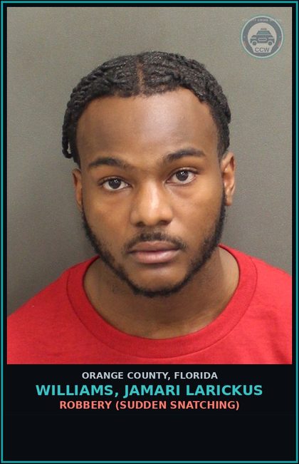 CCW arrest card for WILLIAMS, JAMARI LARICKUS in Orange County: BATTERY (DOMESTIC BATTERY)