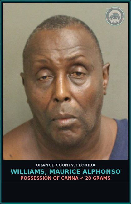 CCW arrest card for WILLIAMS, MAURICE ALPHONSO in Orange County: VIOLATION OF PROBATION