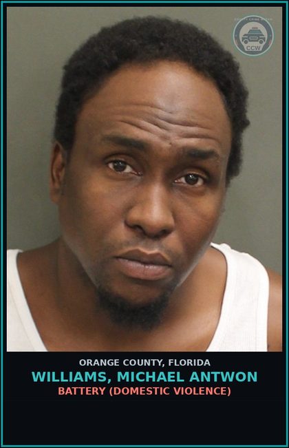 CCW arrest card for WILLIAMS, MICHAEL ANTWON in Orange County: GRAND THEFT 3RD DEGREE (>750, <$5000)