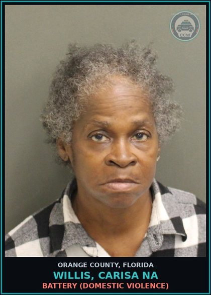 CCW arrest card for WILLIS, CARISA NA in Orange County: BATTERY (DOMESTIC VIOLENCE)