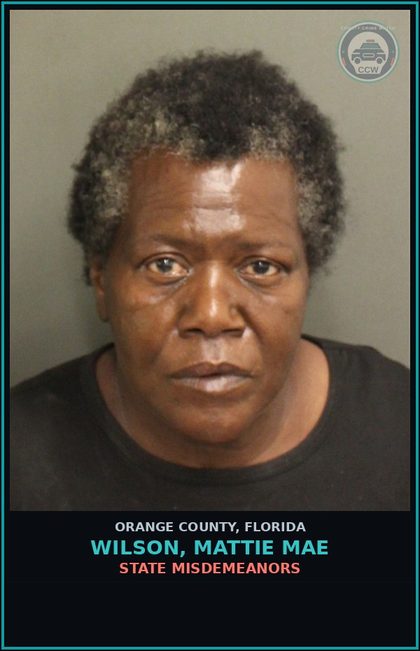 CCW arrest card for WILSON, MATTIE MAE in Orange County: STATE MISDEMEANORS