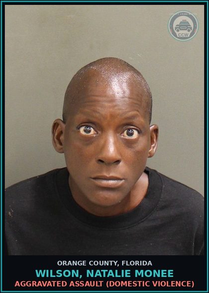 CCW arrest card for WILSON, NATALIE MONEE in Orange County: AGGRAVATED ASSAULT (DOMESTIC VIOLENCE)