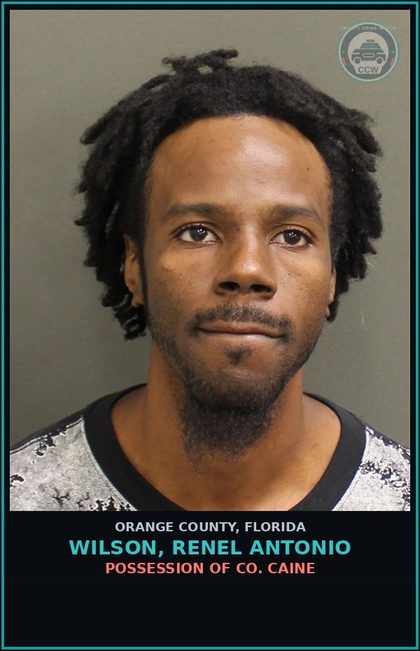 CCW arrest card for WILSON, RENEL ANTONIO in Orange County: POSS. OF COCAINE W/INTENT TO SELL/DELIVER