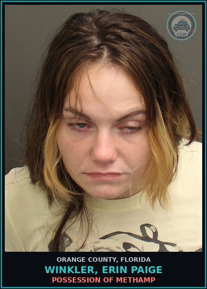 CCW arrest card for WINKLER, ERIN PAIGE in Orange County: PETIT THEFT OF $100 OR MORE