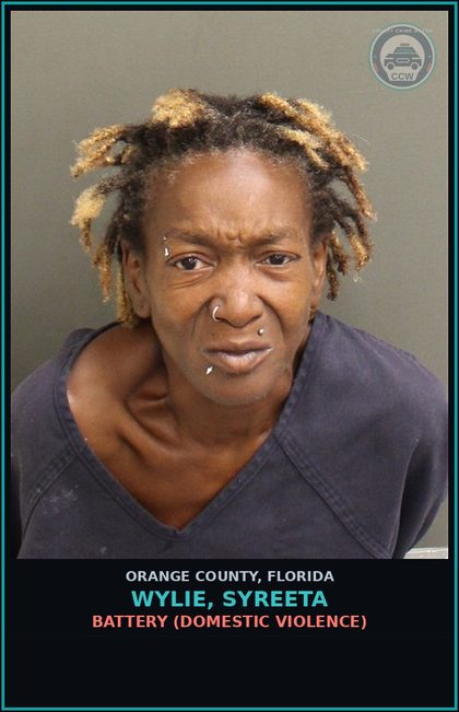 CCW arrest card for WYLIE, SYREETA in Orange County: BATTERY (DOMESTIC VIOLENCE)