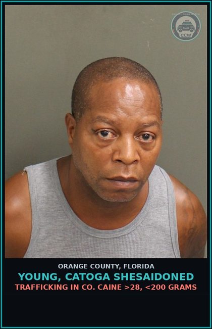 CCW arrest card for YOUNG, CATOGA SHESAIDONED in Orange County: POSS. OF COCAINE W/INTENT TO SELL/DELIVER
