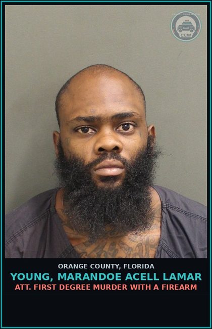 CCW arrest card for YOUNG, MARANDOE ACELL LAMAR in Orange County: SHOOT/THROW MISSILE INTO DWELL/STRUCT/VEH.