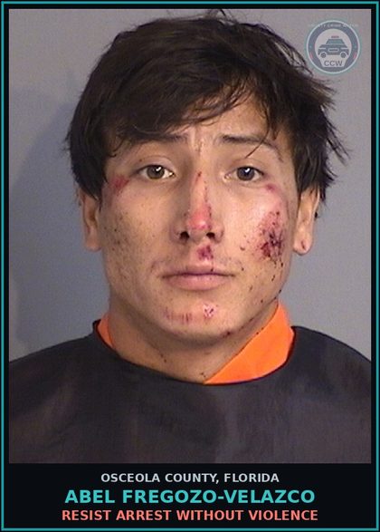 CCW arrest card for ABEL FREGOZO-VELAZCO in Osceola County: RESIST ARREST WITHOUT VIOLENCE