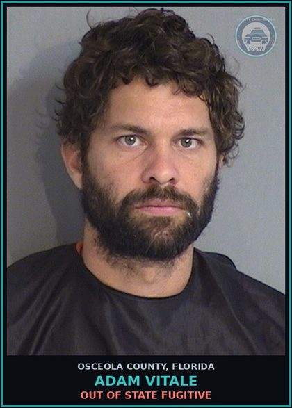 CCW arrest card for ADAM VITALE in Osceola County: OUT OF STATE FUGITIVE