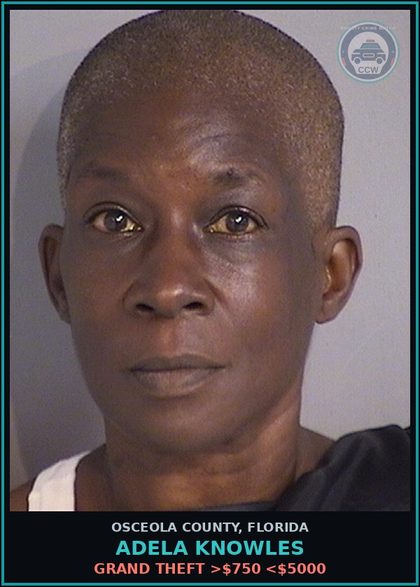 CCW arrest card for ADELA KNOWLES in Osceola County: GRAND THEFT >$750 <$5000
