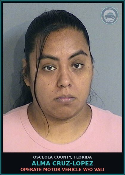 CCW arrest card for ALMA CRUZ-LOPEZ in Osceola County: OPERATE MOTOR VEHICLE W/O VALI