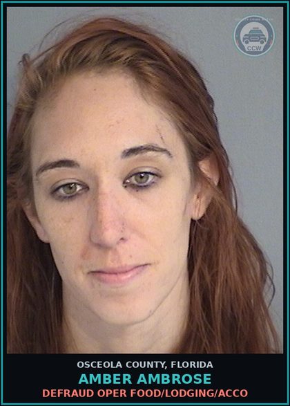 CCW arrest card for AMBER AMBROSE in Osceola County: DEFRAUD OPER FOOD/LODGING/ACCO