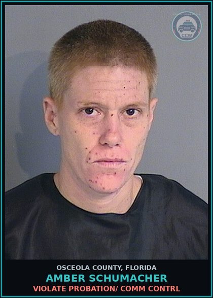 CCW arrest card for AMBER SCHUMACHER in Osceola County: VIOLATE PROBATION/ COMM CONTRL