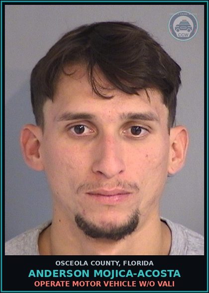 CCW arrest card for ANDERSON MOJICA-ACOSTA in Osceola County: OPERATE MOTOR VEHICLE W/O VALI