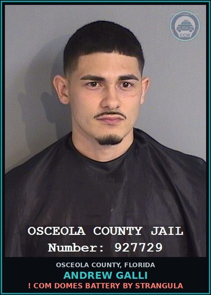CCW arrest card for ANDREW GALLI in Osceola County, Florida: ! COM DOMES BATTERY BY STRANGULA