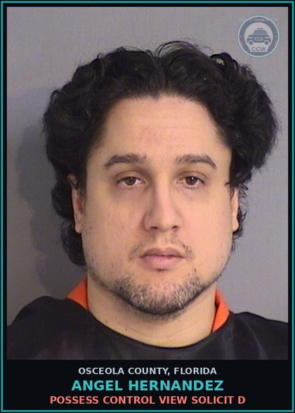 CCW arrest card for ANGEL HERNANDEZ in Osceola County: POSSESS CONTROL VIEW SOLICIT D