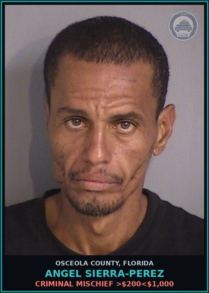 CCW arrest card for ANGEL SIERRA-PEREZ in Osceola County: CRIMINAL MISCHIEF >$200<$1,000