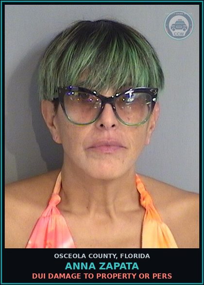 CCW arrest card for ANNA ZAPATA in Osceola County: DUI DAMAGE TO PROPERTY OR PERS