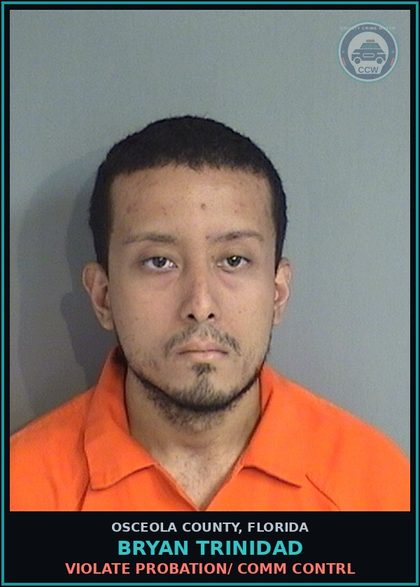 CCW arrest card for BRYAN TRINIDAD in Osceola County: VIOLATE PROBATION/ COMM CONTRL