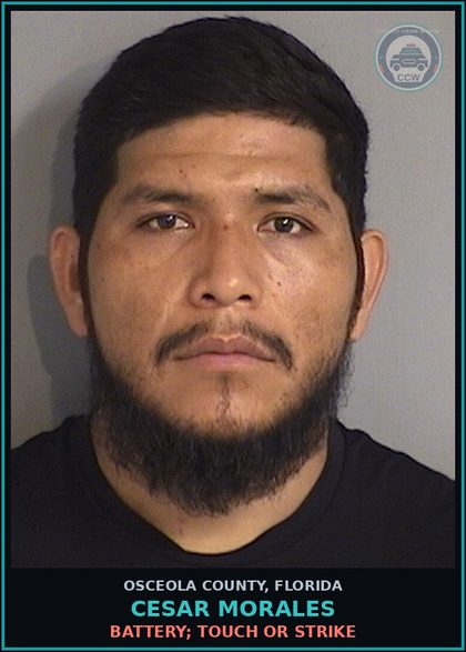 CCW arrest card for CESAR MORALES in Osceola County: BATTERY; TOUCH OR STRIKE