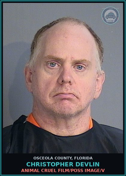 CCW arrest card for CHRISTOPHER DEVLIN in Osceola County: ANIMAL CRUEL FILM/POSS IMAGE/V