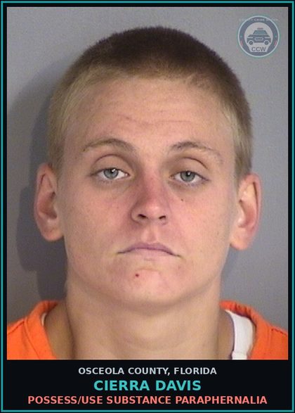 CCW arrest card for CIERRA DAVIS in Osceola County: POSSESS/USE DRUG PARAPHERNALIA