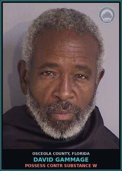 CCW arrest card for DAVID GAMMAGE in Osceola County: POSSESS contr substance W