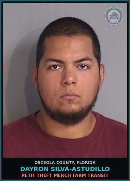 CCW arrest card for DAYRON SILVA-ASTUDILLO in Osceola County: PETIT THEFT MERCH FARM TRANSIT